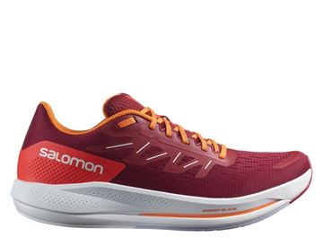 Picture of SALOMON -  SPECTUR